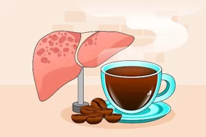 تأثير القهوة على الكبد